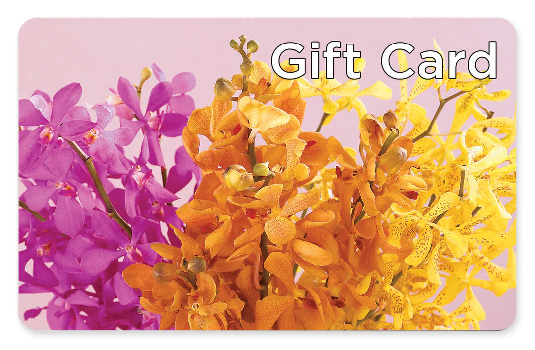 Gift Card – Bloom By Tommy, Union NJ