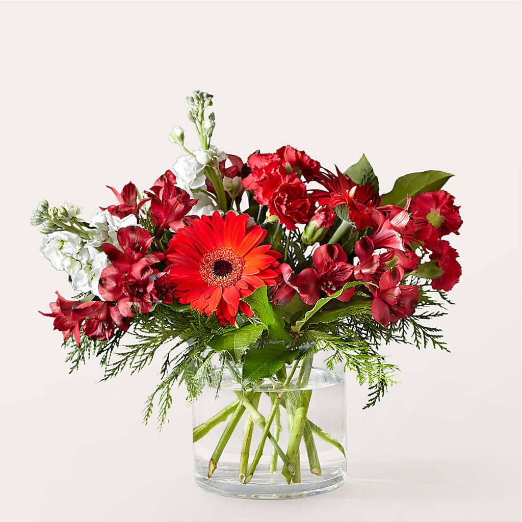 Holidaisy Bouquet – Bloom By Tommy, Union NJ