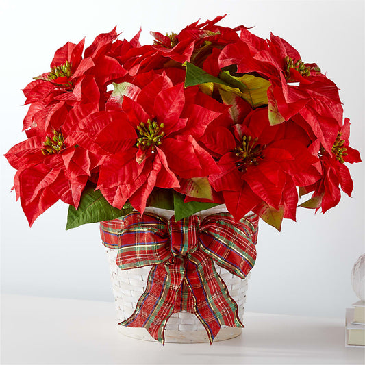 Joyeuses Fêtes Poinsettia