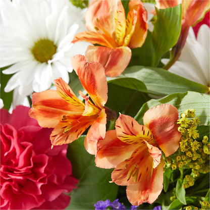 Oopsie Daisy Box Bouquet –  Bloom By Tommy, Union NJ