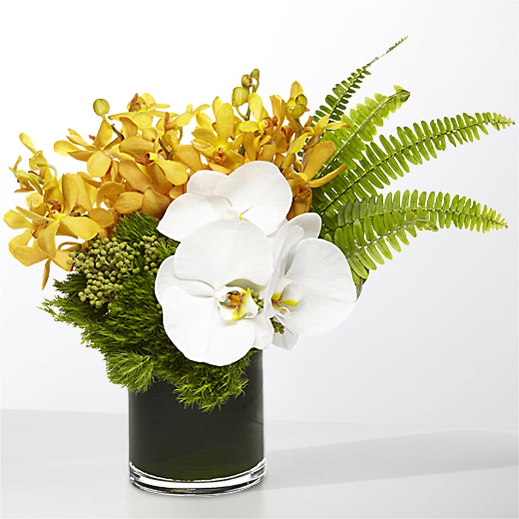 The Tropics –  Bloom By Tommy, Union NJ