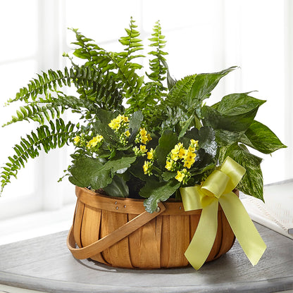Always Dear Dishgarden –  Bloom By Tommy, Union NJ
