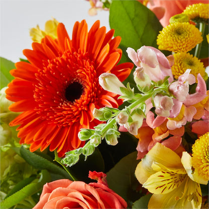 Autumn Sunshine Bouquet –  Bloom By Tommy, Union NJ