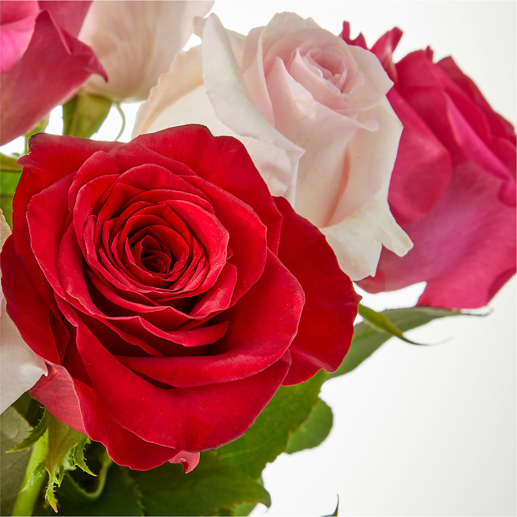 Charming Rose Bouquet –  Bloom By Tommy, Union NJ