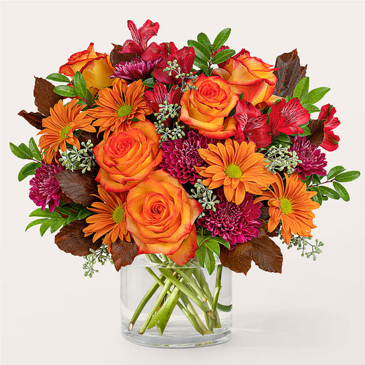 Bouquet Matinal Tonifiant