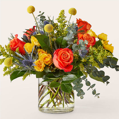 Bouquet disco