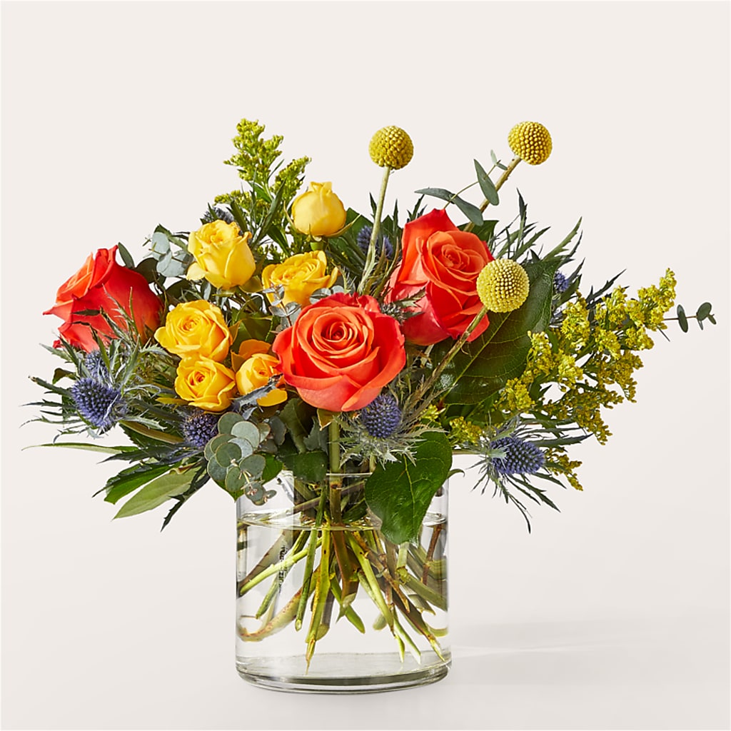 Bouquet disco