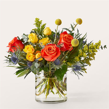 Bouquet disco