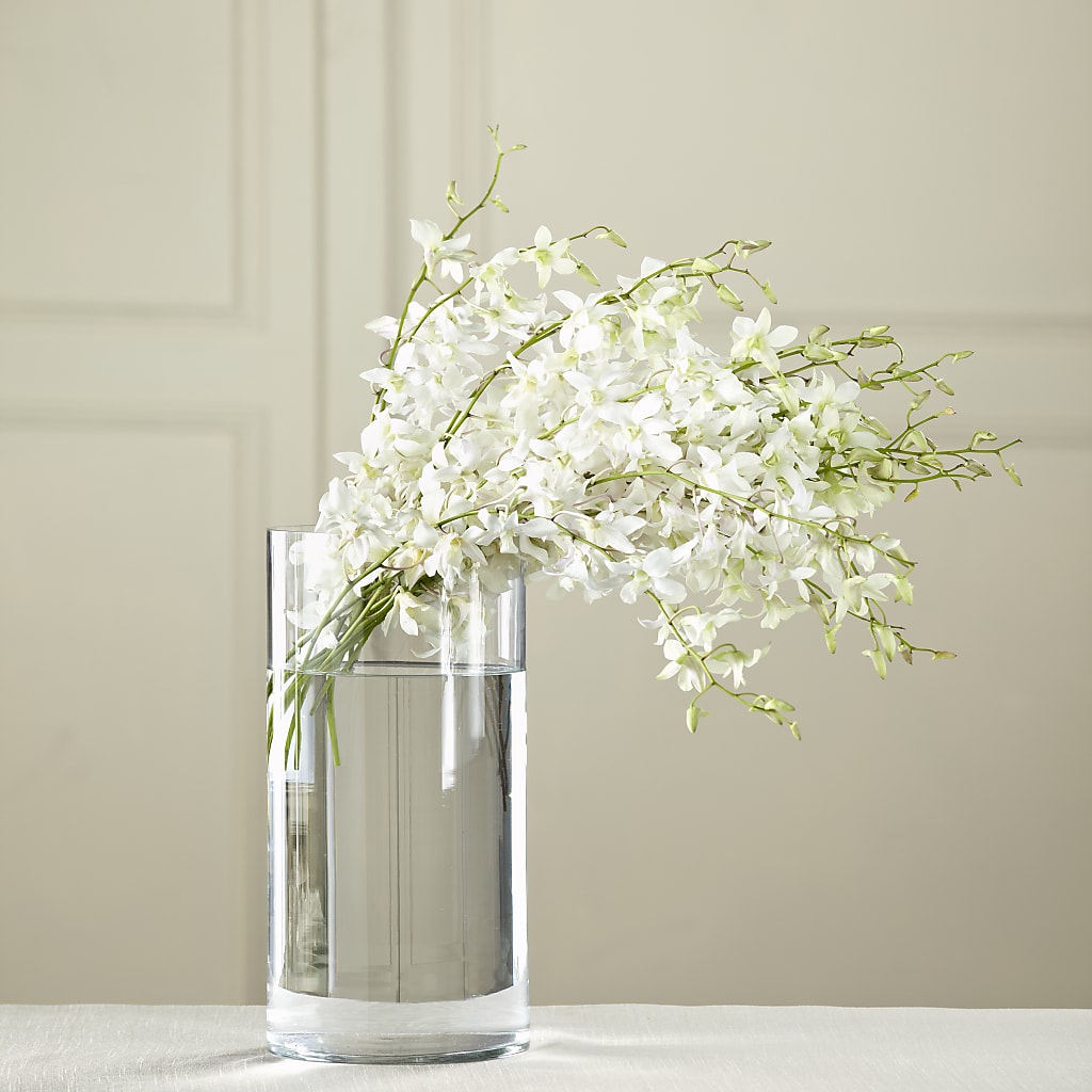 Bouquet de dendrobiums blancs